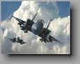 F-15E STRIKE EAGLE: The Swamp Eagle